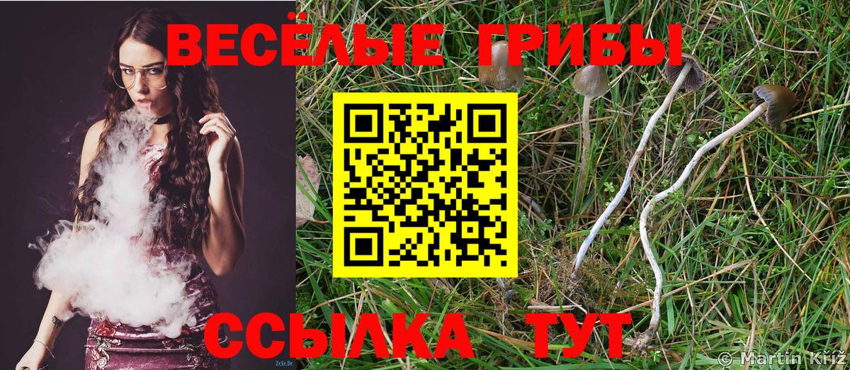 Горячий Ключ  Псилоцибиновые грибы Psilocybine cubensis  Псилоцибиновые грибы прущие грибы  Вход с VPN 